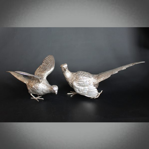 Silver Pheasants
