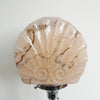 Vintage Art Deco Clam Shell Table Lamp - Jeroen Markies Art Deco