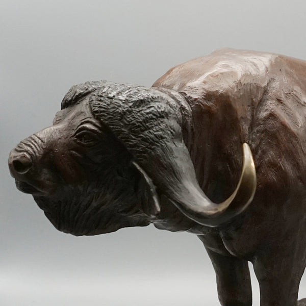 Buffalo