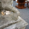 Pair of Medici Stone Lions. Garden Statues, Mid-Century Stone - Jeroen Markies Art Deco