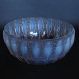 A frosted an opalescent glass bowl depicting parakeets in relief. Hand etched 'R Lalique France' to underside at Jeroen Markies