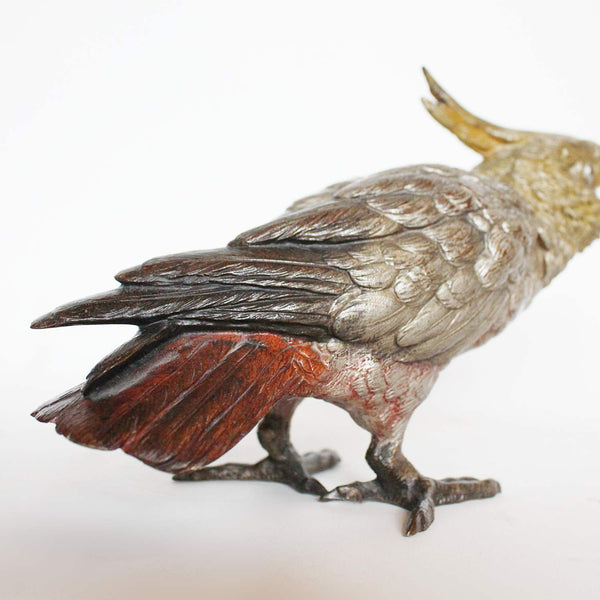 Austrian cold painted bronze cockatoo CIRCA 1900 at Jeroen Markies