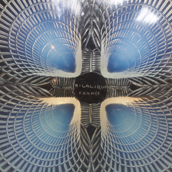 Coupe Coquilles No. 3 Art Deco blue opalescent glass bowl - René Lalique Glass - Jeroen Markies Art Deco