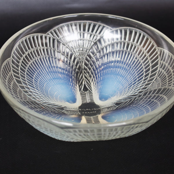 Coupe Coquilles No. 3 Art Deco blue opalescent glass bowl - René Lalique Glass - Jeroen Markies Art Deco