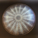 René Lalique Oursins Plate