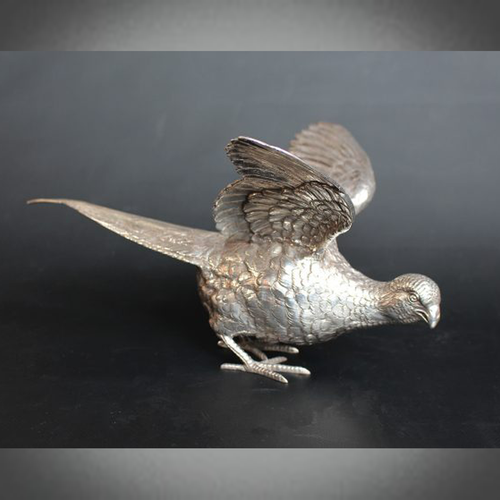 Silver Pheasants