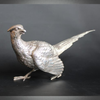 Silver Pheasants