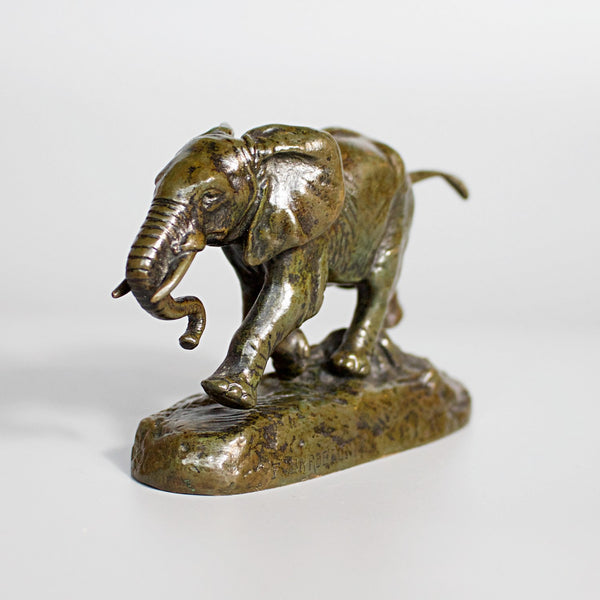 Elephant du Senegal - Antoine-Louis Barye – Art Deco Bronze - Jeroen Markies Art Deco