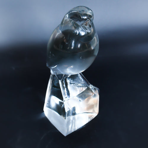 Glass Paperweight