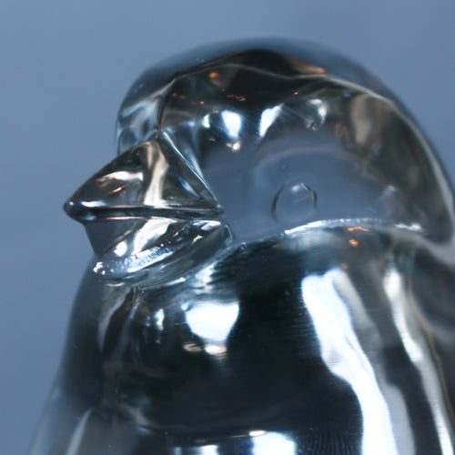 Glass Paperweight