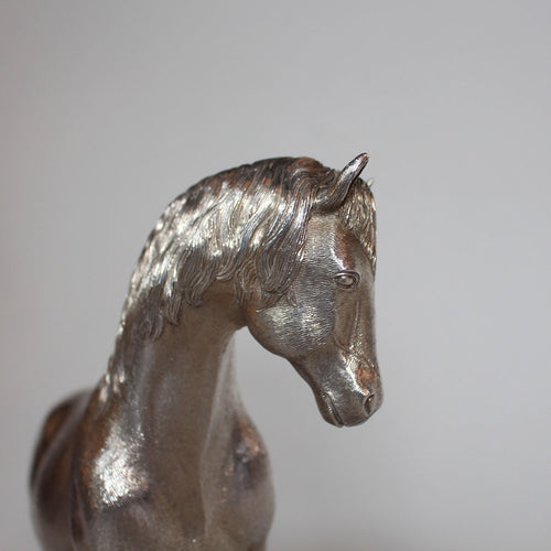 Silver Horse